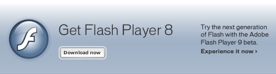 Flash Player image